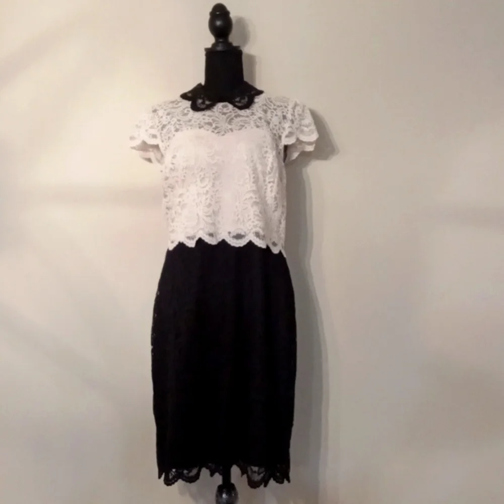 Betsy Johnson Ivory and Black Lace Dress with Collar Size 14 - Picture 1 of 12